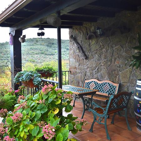 Casa Rural Los Olivos Sotoserrano Luaran gambar